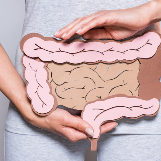La Relación Entre la Salud Digestiva y el Acné